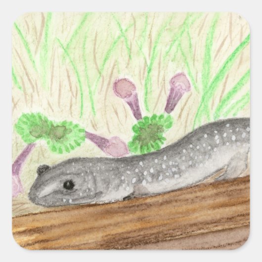 Salamander Quadratischer Aufkleber (Vorderseite)