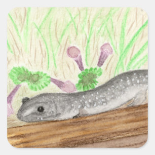 Salamander Quadratischer Aufkleber