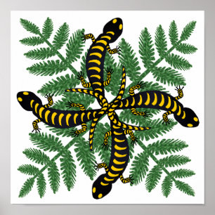 Salamander und Farnblätter Wald Poster