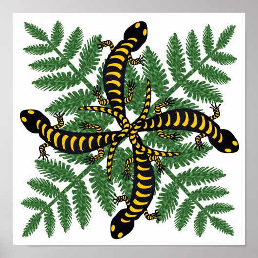 Salamander und Farnblätter Wald Poster (Vorne)