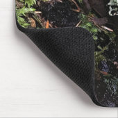 Salamander versteckt sich unter Log, Washington Mousepad (Ecke)