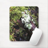 Salamander versteckt sich unter Log, Washington Mousepad (Mit Mouse)