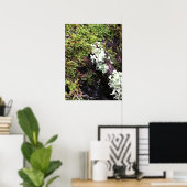 Salamander versteckt sich unter Log, Washington Poster (Heimbüro)