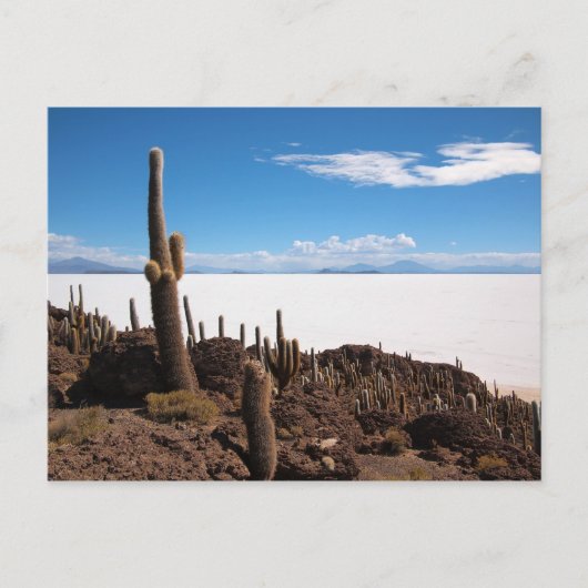 Salar de Uyuni Kaktus Postkarte (Vorderseite)