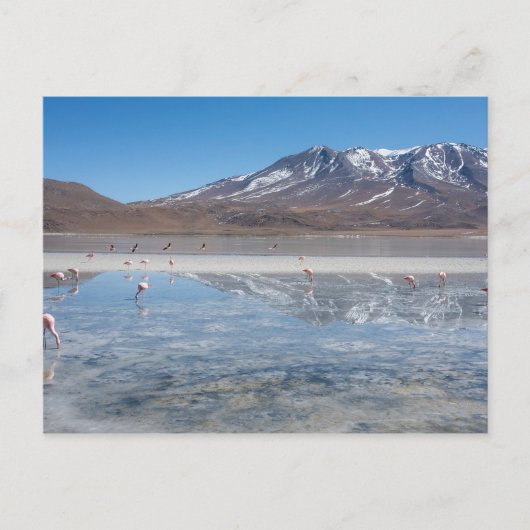SALAR DE UYUNI SALT FLAT, BOLIVIEN POSTKARTE (Vorderseite)