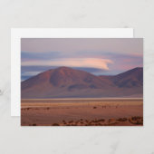 Salar del Huasco, Chile (Vorne/Hinten)