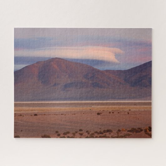 Salar del Huasco, Chile 520-pc Puzzle (Horizontal)