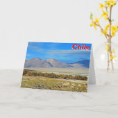 Salar del Huasco, Chile Karte (Gelbe Blume)