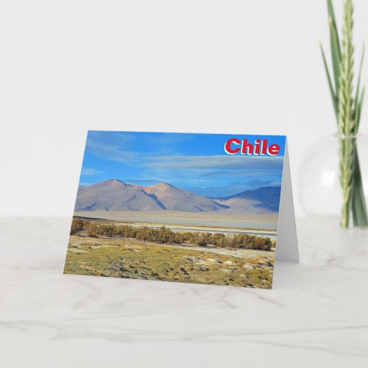 Salar del Huasco, Chile Karte (Vorderseite)