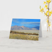 Salar del Huasco, Chile Karte (Gelbe Blume)