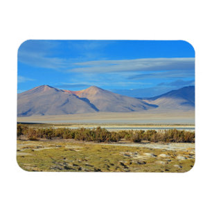 Salar del Huasco, Chile Magnet