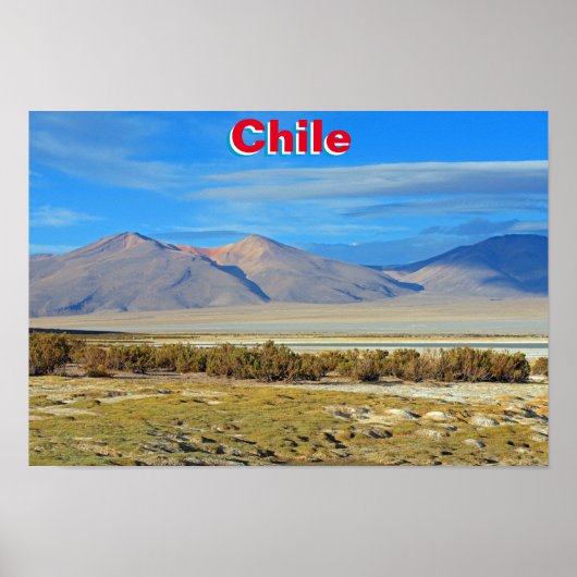 Salar del Huasco, Chile Poster (Vorne)
