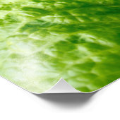 Salat Fotodruck (Ecke)