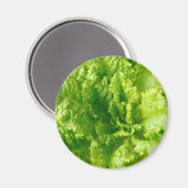 Salat Magnet (Vorderseite/Rückseite)