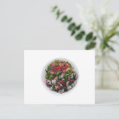 Salat mit Rettich und geröstete Küken Postkarte (Stehend Vorderseite)