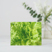Salat Postkarte (Stehend Vorderseite)