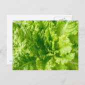 Salat Postkarte (Vorne/Hinten)