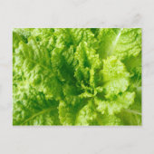 Salat Postkarte (Vorderseite)