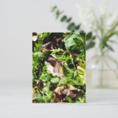 Salat Postkarte (Stehend Vorderseite)