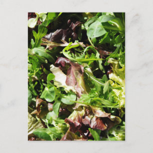 Salat Postkarte