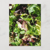 Salat Postkarte (Vorderseite)