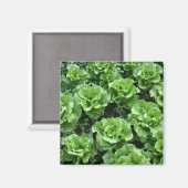 Salatbett Magnet (Vorderseite/Rückseite)