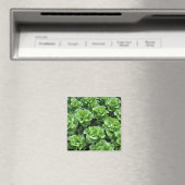 Salatbett Magnet (In Situ (Geschirrspüler))