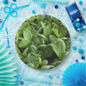 Salate Blätter für Naturfreunde.Party Pappteller (Party)