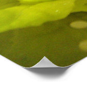 Salate Gemüse drucken Poster (Ecke)