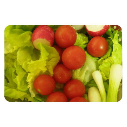 Salate Gemüse Premium Magnet (Horizontal)
