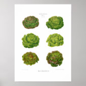 Salate Poster (Vorne)