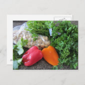 Salate Postkarte (Vorne/Hinten)