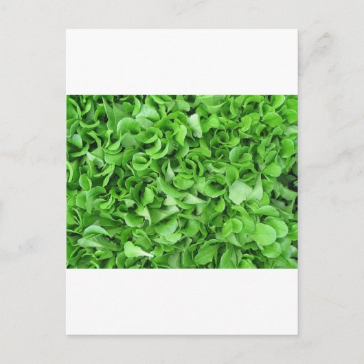 Salatliebhaber Postkarte (Vorderseite)