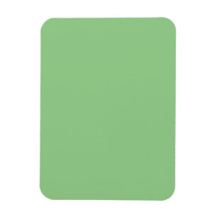 Salbei-Grün-Minimalistischer-Ruhe-Dekor-Magnet Magnet