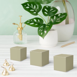 Salbeigrün Geschenkschachtel