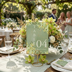 Salbeigrüne Botanische Hochzeit Benutzerdefinierte Tischnummer