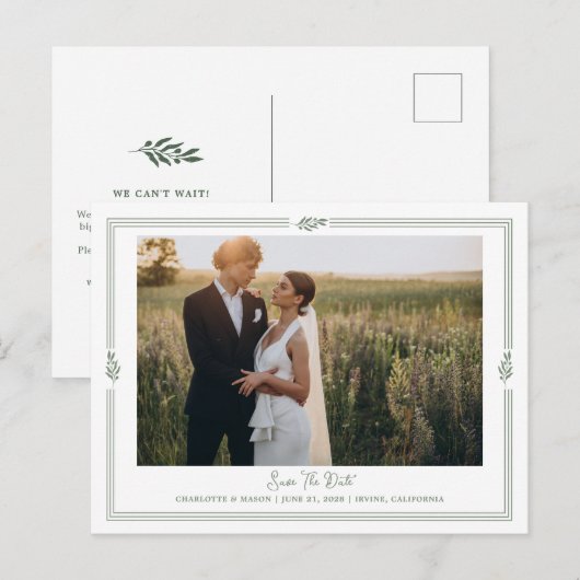 Salbeigrüner Olivenzweig Foto Save Datum Postkarte (Vorne/Hinten)