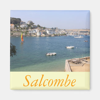 Salcombe Devon Magnet