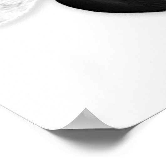 Saldo nach B und BB Poster (Ecke)