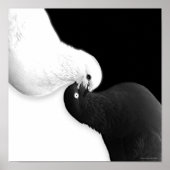 Saldo nach B und BB Poster (Vorne)