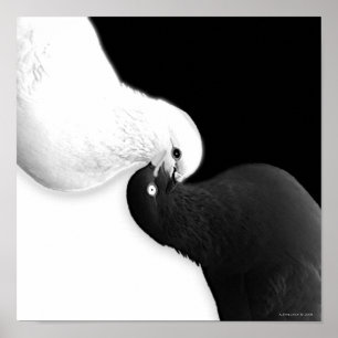 Saldo nach B und BB Poster