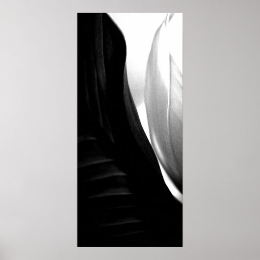 Saldo Poster (Vorne)