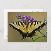 Saldo Postkarte (Vorne/Hinten)