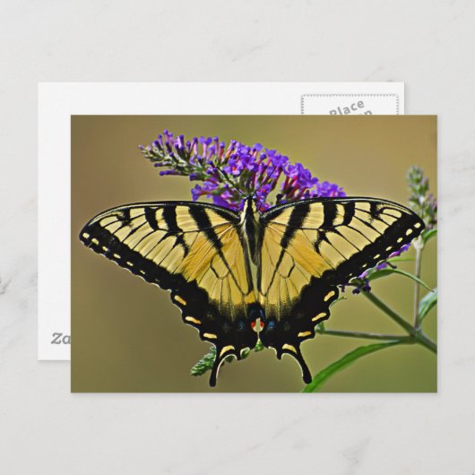 Saldo Postkarte (Vorne/Hinten)