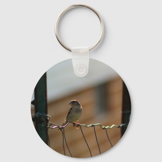 Saldo Schlüsselanhänger (Vorderseite)