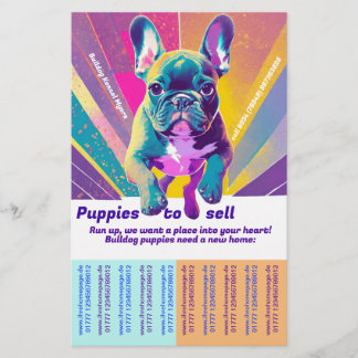 Sale Puppy French Bulldog Flyer