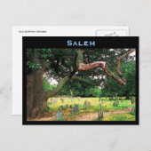 Salem Friedhof Postcard Postkarte (Vorne/Hinten)