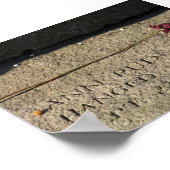 Salem Mass Poster (Ecke)