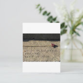 Salem Mass Postkarte (Stehend Vorderseite)