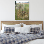 Salify Seeds in Field Wrapped Canvas Leinwanddruck (Insitu (Schlafzimmer))
